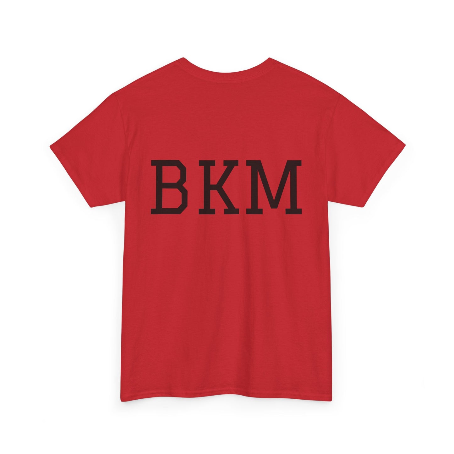 “This Shirt is About to be Burned or Stained” Unisex T-Shirt