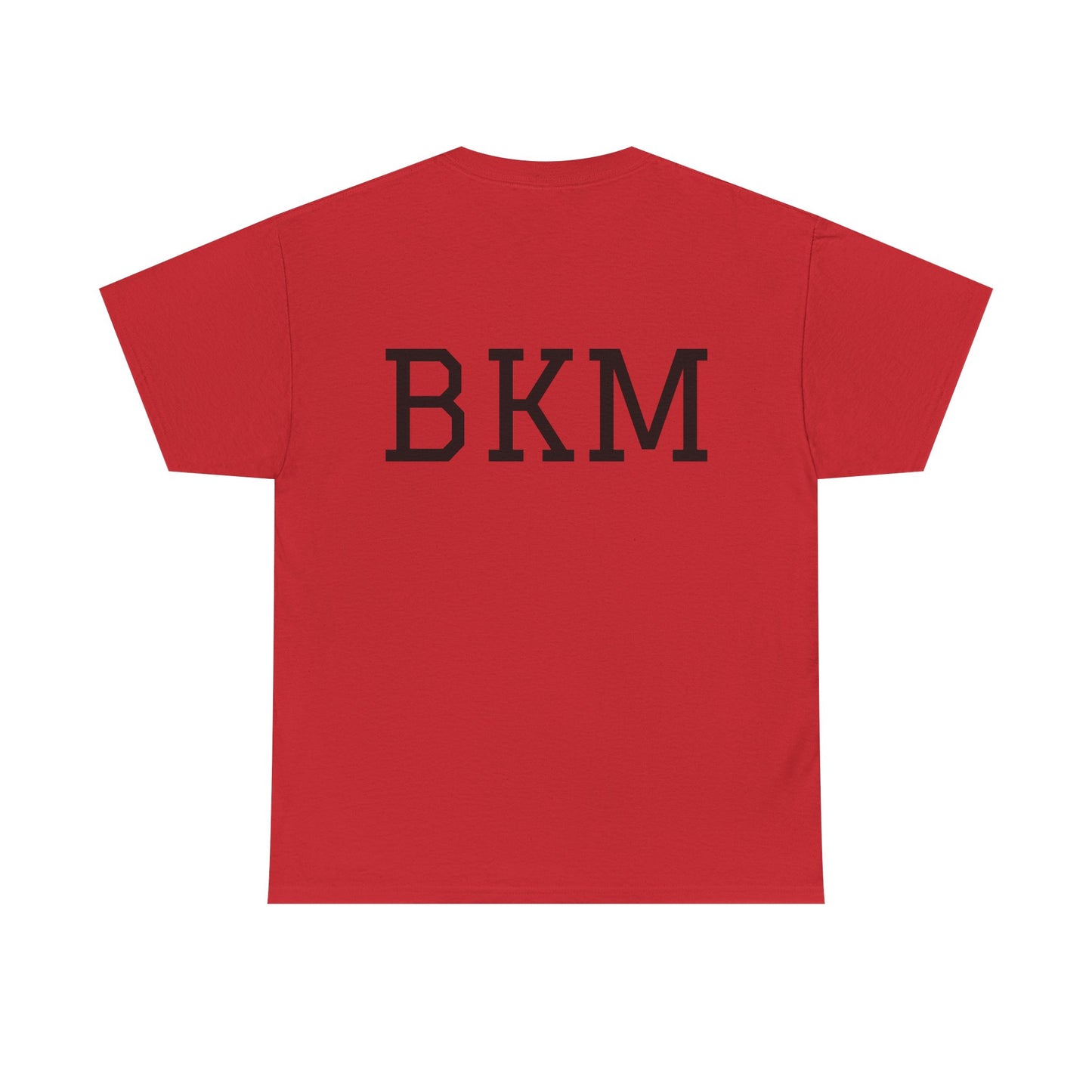 “This Shirt is About to be Burned or Stained” Unisex T-Shirt
